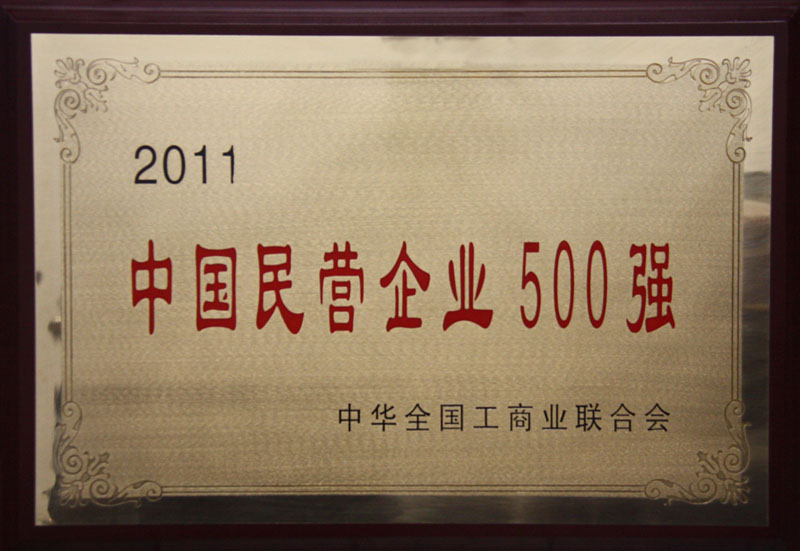 2011 中国民营企业500强